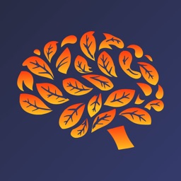 Brain Training - BrainBloom