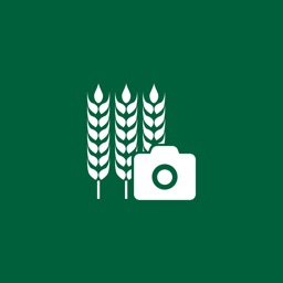 FANi