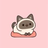 Cat Sneaky Pounce Meow icon