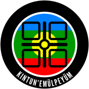 Mapudungun Kintun'emülpeyüm
