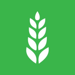 Arokiya