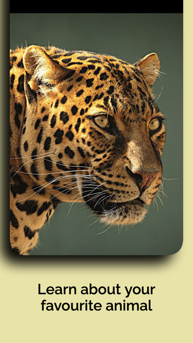 Natural History Museum 4 You Screenshot