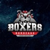 Boxers de Bordeaux icon