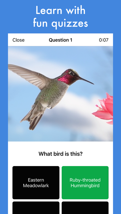 Smart Bird ID Screenshot