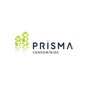 Prisma On-line app download