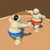 Sumo Wrestling Challenge problems & troubleshooting and solutions