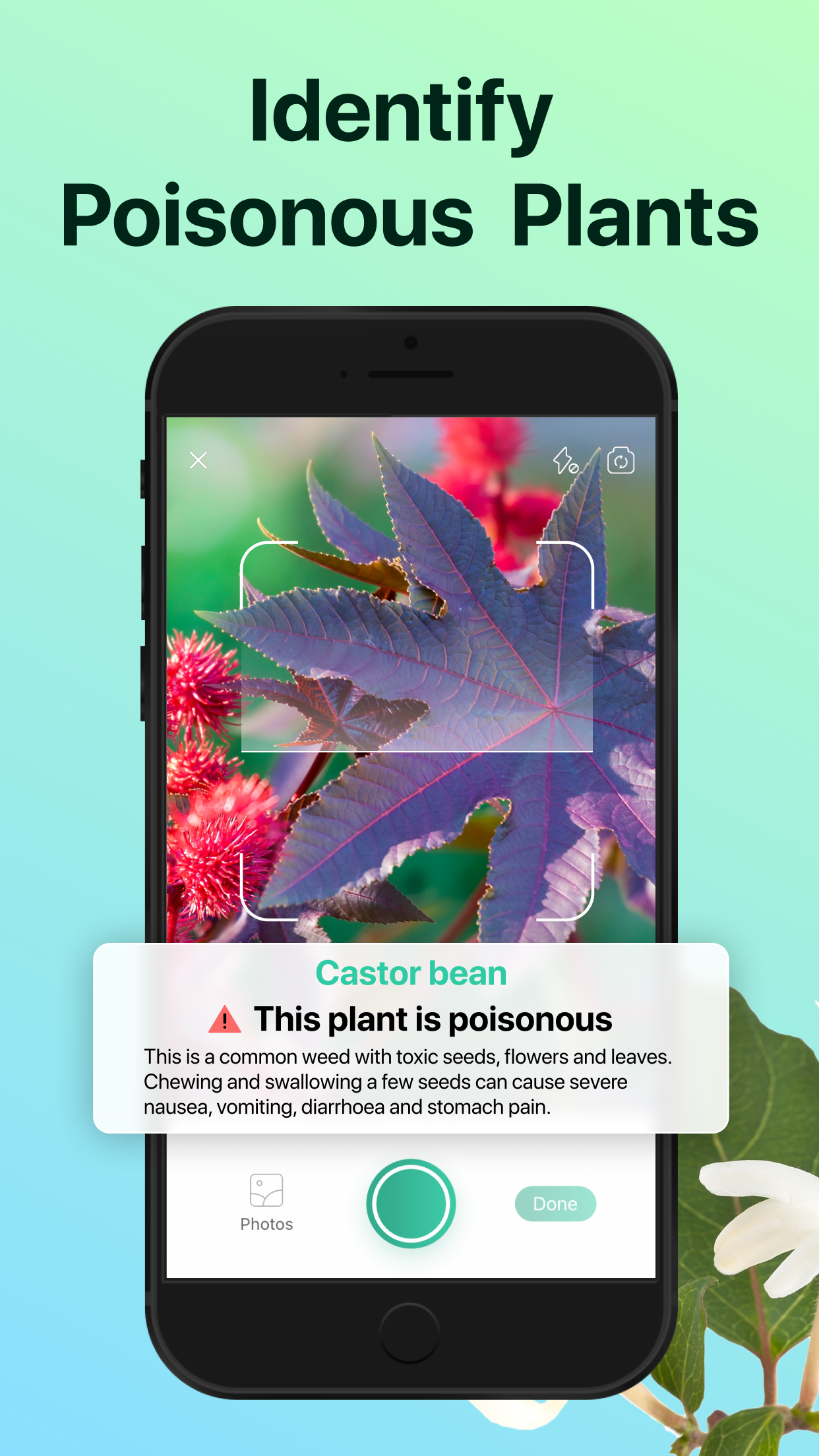 PictureThis - Plant Identifier screenshot 6