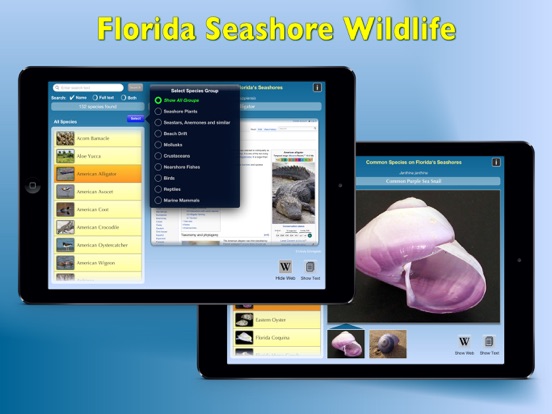 Screenshot #6 pour Florida Seashore Wildlife