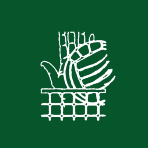 Federación Vasca Voleibol