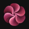 Modio: AI-Powered Photoshoots icon