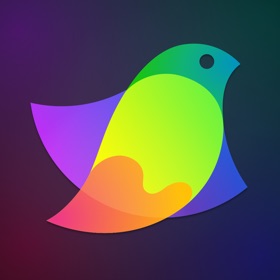 스크린샷 (9) Amadine: Vector Design and Art