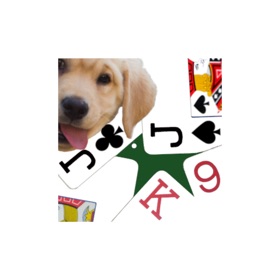 螢幕擷取畫面 (7) K9 Euchre