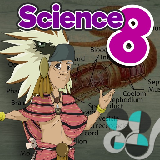 Reproduction in Animals