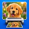 Poster Printer icon
