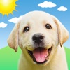 Weather Puppy Forecast + Radar icon