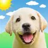 Weather Puppy Forecast + Radar