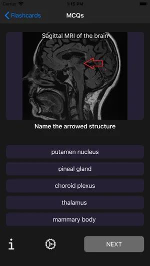 First FRCR Anatomy screenshot 4