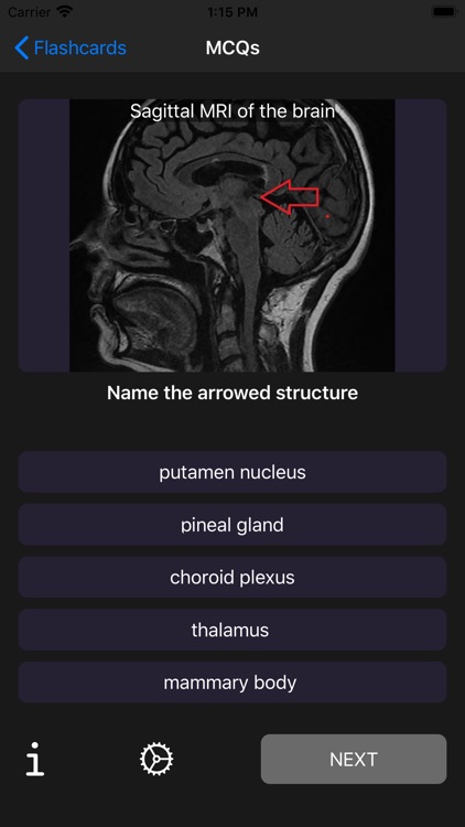First FRCR Anatomy screenshot-3