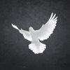The Tab Online icon