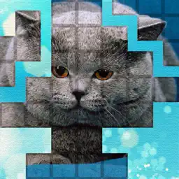 PicPu Cat Puzzle app icon