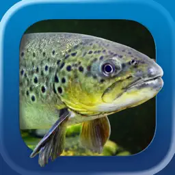 Heintges Angeltrainer
