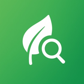 Leaf Identifier - LeafID