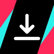 SnapTik - Tik Video Saver