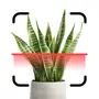 Plant Identifier App.