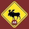 Alberta Driving Test Practice. icon
