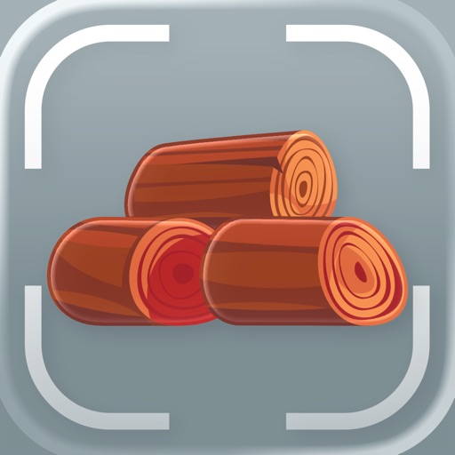 Wood Identifier: AI Scanner