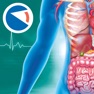 Get Anatomia Super for iOS, iPhone, iPad Aso Report