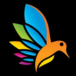 Coloring Book for Adults: Ink