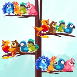 Bird Sort Color Puzzle Game