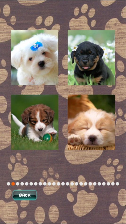 #4. Cute Puppies Puzzle (iOS) By: John Smith