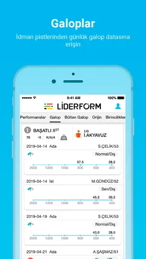 Liderform screenshot 2