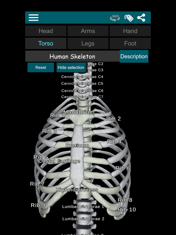 Bones 3D (Anatomy) iPad screenshot 4 - Education app