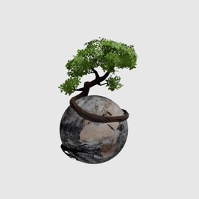 TipTop - The Cleanup Community