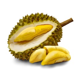 Duren