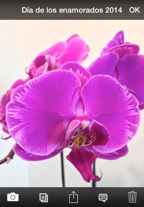 Álbum de Orquídeas Lite