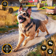Paws & Path: Village Dog Games