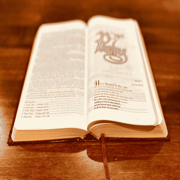 Daily Bread: Verse of the Day