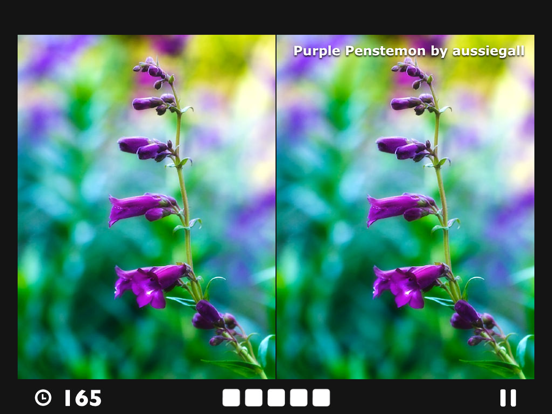 Screenshot #5 pour Find the Difference!