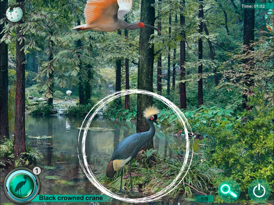 Hidden Animals: Seek and Find iPad screenshot 4 - Games app
