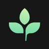 Tithe.ly icon