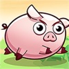 Save The Piggy icon