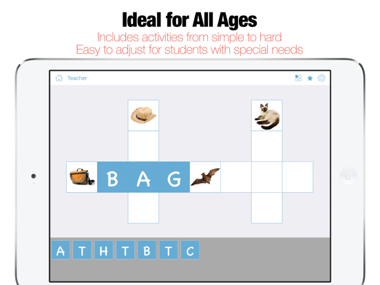 Bitsboard Flashcards PRO iPad app afbeelding 4