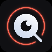 InLook Insights Seguidores IG