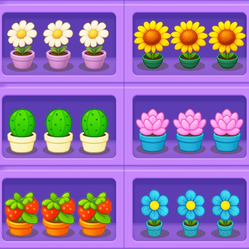 Debris Removal Master