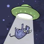 Looking for Aliens