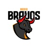MADRID BRAVOS icon